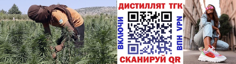 Дистиллят ТГК Wax Северодвинск