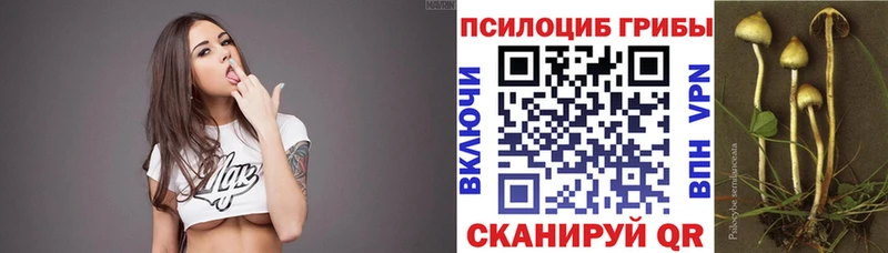 мориарти Telegram  kraken tor  Северодвинск  Псилоцибиновые грибы прущие грибы 