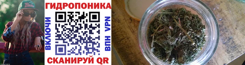 Бошки Шишки OG Kush  Северодвинск 